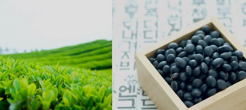 방광암 치료를 위해서는 무조건 금연을 실천해야 하고 비뇨기계 증상을 잘 살펴 검진을 받도록 하며, 항암 효능이 있는 것으로 알려진 음식의 도움을 받는 것도 좋다고 전문가들은 조언한다. 사진=넥스트데일리 DB