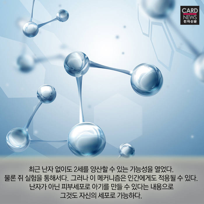 [카드뉴스]정자와 난자의 수정 없이 생명이 탄생?
