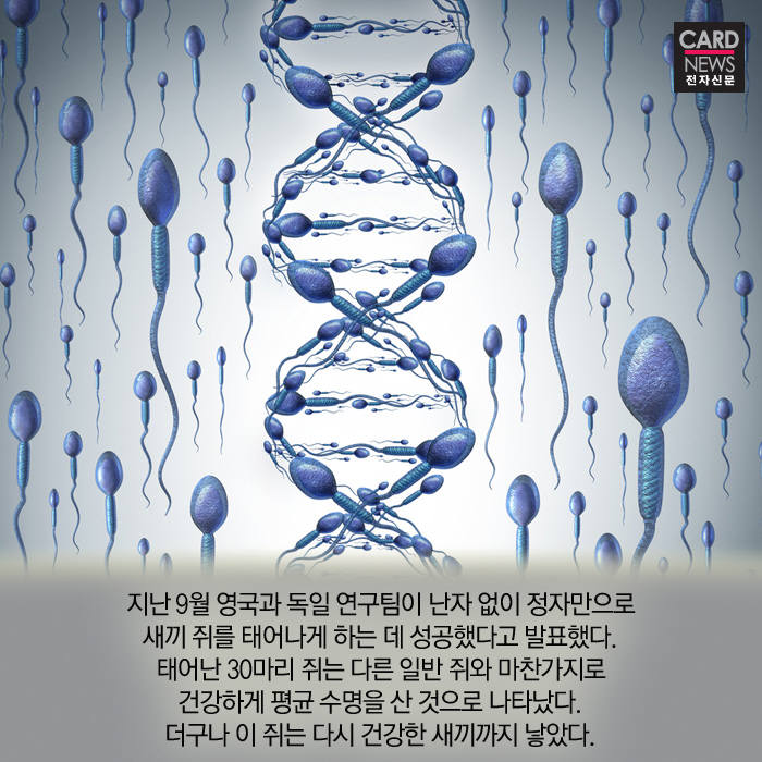 [카드뉴스]정자와 난자의 수정 없이 생명이 탄생?