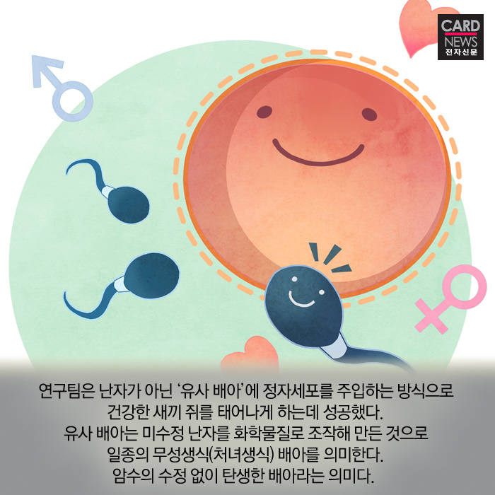 [카드뉴스]정자와 난자의 수정 없이 생명이 탄생?