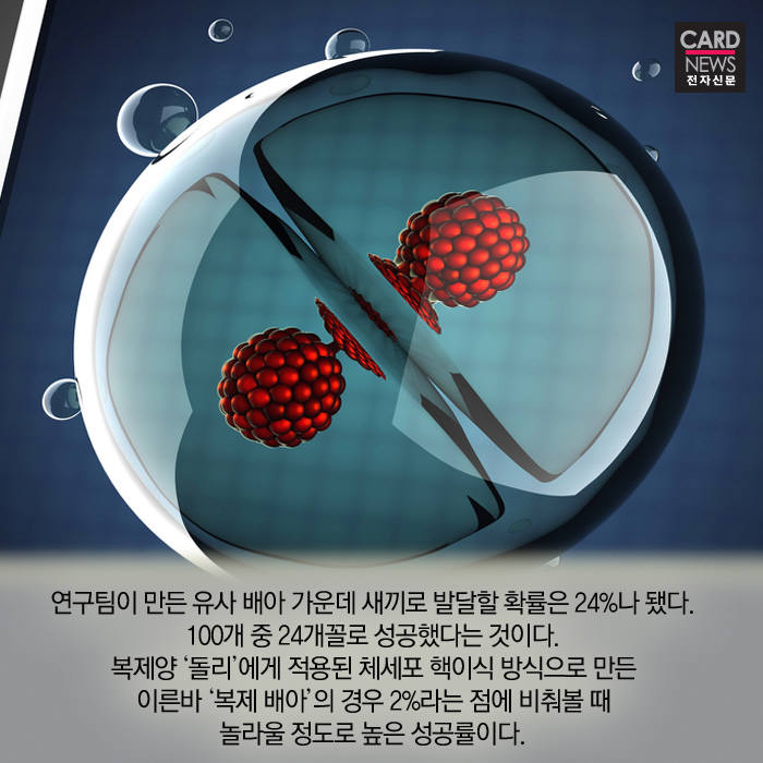 [카드뉴스]정자와 난자의 수정 없이 생명이 탄생?