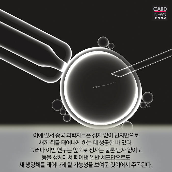 [카드뉴스]정자와 난자의 수정 없이 생명이 탄생?