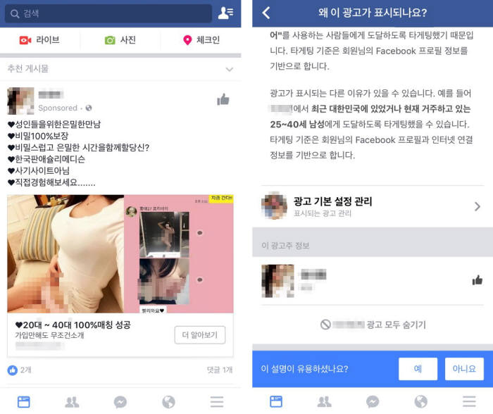 페이스북 스폰서드 광고(홍보 게시물)는 이용자 프로필 정보를 바탕으로 타깃형 노출이 이뤄진다.