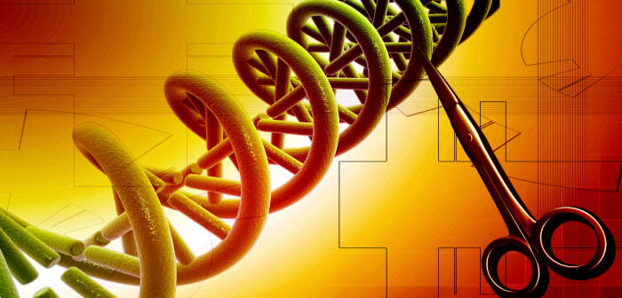 美 UC버클리 연구팀, 새 CRISPR 유전자가위 발견
