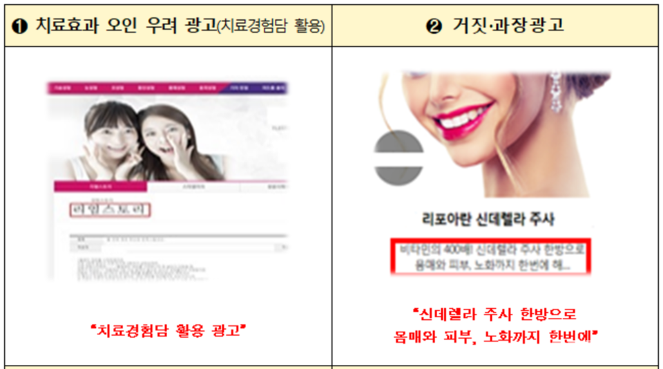 불법 의료광고 모니터링 사례(사진=복지부)