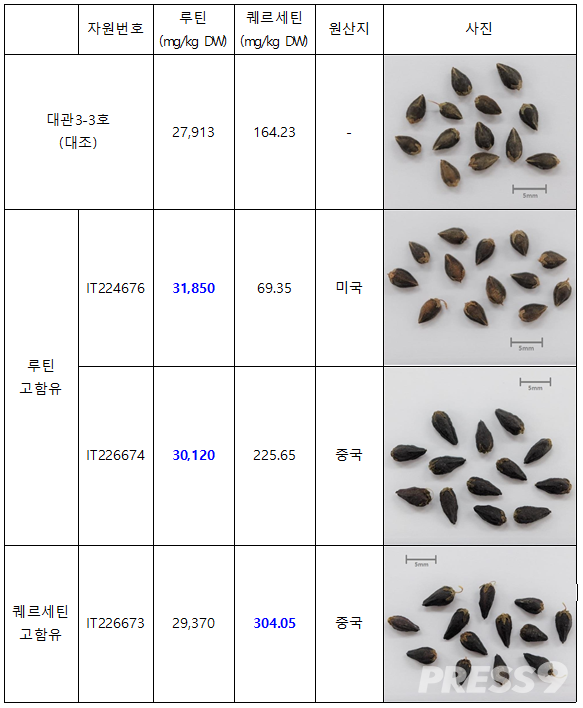 폴리페놀 고함유 새싹 쓴메밀 자원 목록(사진=농촌진흥청)