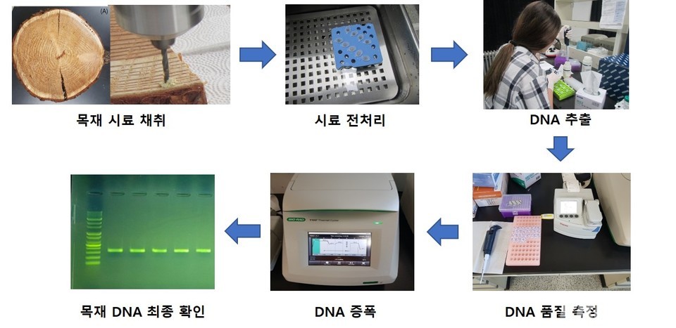 (사진=산림청)