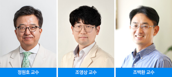 (좌측부터)정원호·조영상·조백환 교수