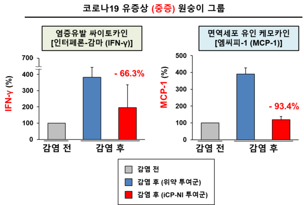 사진설명: 코로나19 유증상 (중증) 영장류에 대한 내재면역제어 면역치료제 iCP-NI의 싸이토카인폭풍 억제효능 [혈액 내 염증유발 싸이토카인 (왼쪽) 및 면역세포 유인 케모카인 (오른쪽)]