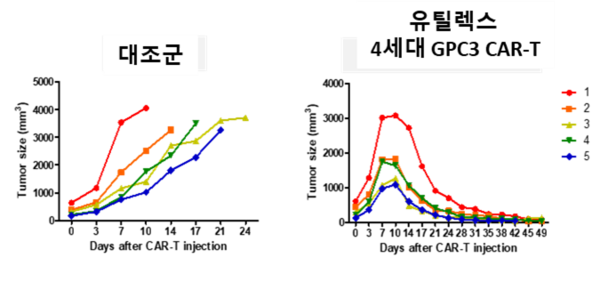 유틸렉스의 4세대 GCP3 CAR-T가 간암세포 100% 제거한 것을 확인한 동물실험 결과