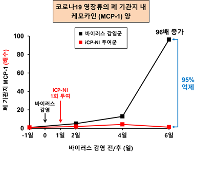 iCP-NI는 코로나19 바이러스 (SARS-CoV-2) 감염 영장류의 폐 기관지에서면역염증세포를 모이게 하는 염증유발 케모카인 MCP-1 증가를 완전 억제시킴