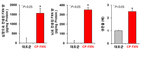 프리드리히 운동실조증 유발 형질전환동물에서 CP-FXN 투여 후 심장과 뇌로 전송된 CP-FXN 양 (투여후 6시간)과 그에 따른 생존율 증가 (2.5배) 효능