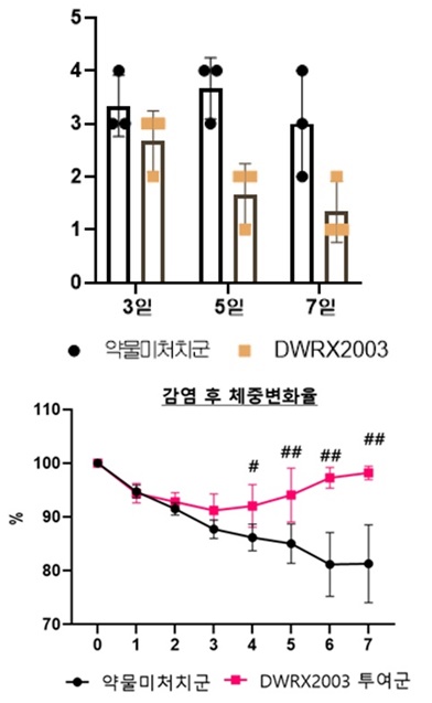 (상단자료: 감염 후 3, 5, 7일차에 적출된 폐의 조직병리 시험 결과, 점수 높을수록 병변이 심각, 하단자료: 감염 후 체중변화율 그래프)