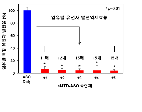 TSDT 플랫폼기술이 적용된 펩타이드-핵산 복합체 (aMTD-ASO conjugate)의 폐암세포에서의 암유발 특정 유전자 발현억제효능을 평가한 결과 중 상위 5개 물질 (통계적 유의성 99% 신뢰수준)