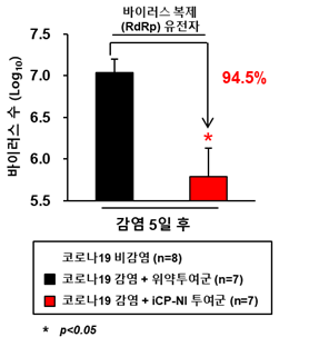 코로나19 감염병 동물모델에 iCP-NI 투여 결과, 코로나 바이러스가 94.5% 감소함,95%이상 통계적 신뢰도. 사진/셀리버리