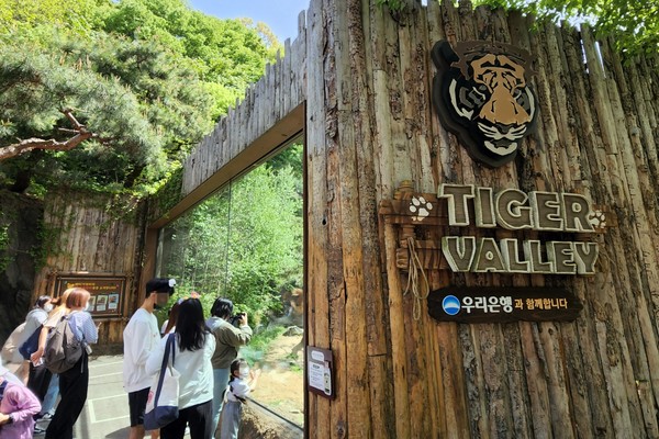 우리은행과 함께하는 에버랜드 내 한국 호랑이 서식지인 '타이거 밸리' 의 전경 모습