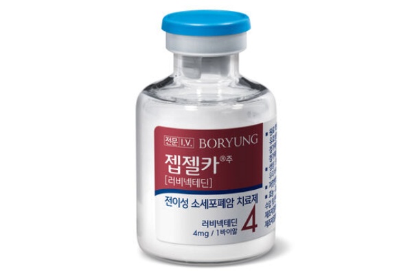 젭젤카. 사진/보령