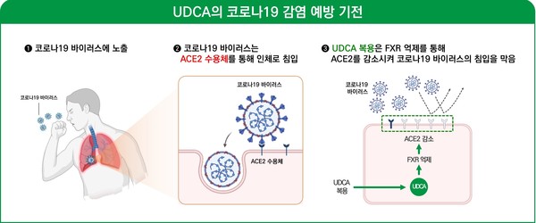 사진/대웅제약