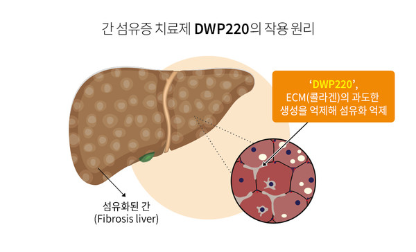 DWP220의 작용 원리. 사진/대웅제약