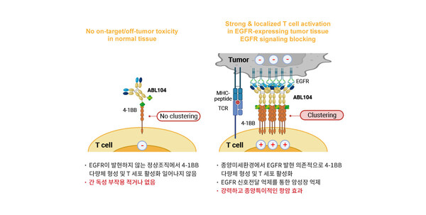 ABL104 작용기전. 사진/에이비엘바이오