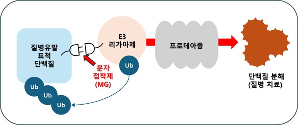 사진/신테카바이오