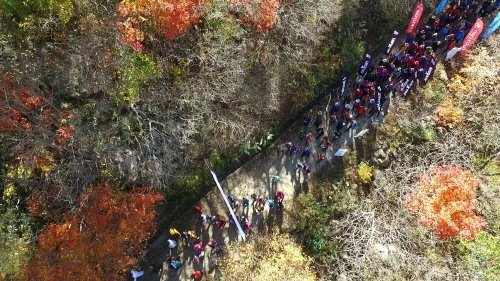 하동군