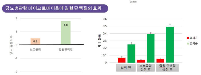 당뇨병 관련 마이크로바이옴에 밀웜 단백질 효과