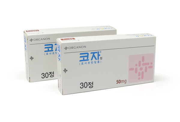사진/한국오가논