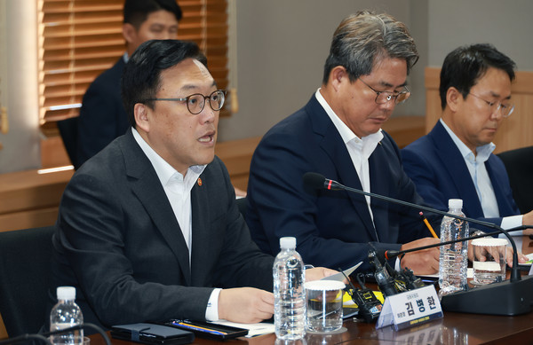 김병환 금융위원장은 28일 10개 보험사 CEO와 함께 간담회에서 발언하고 있다. 사진/금융위원회