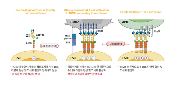 ABL102의 작용 기전. 사진/에이비엘바이오